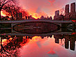Central Park - New York (New York)