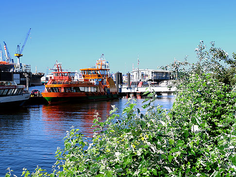 Blick auf den Hafen - Hamburg (Hamburg)