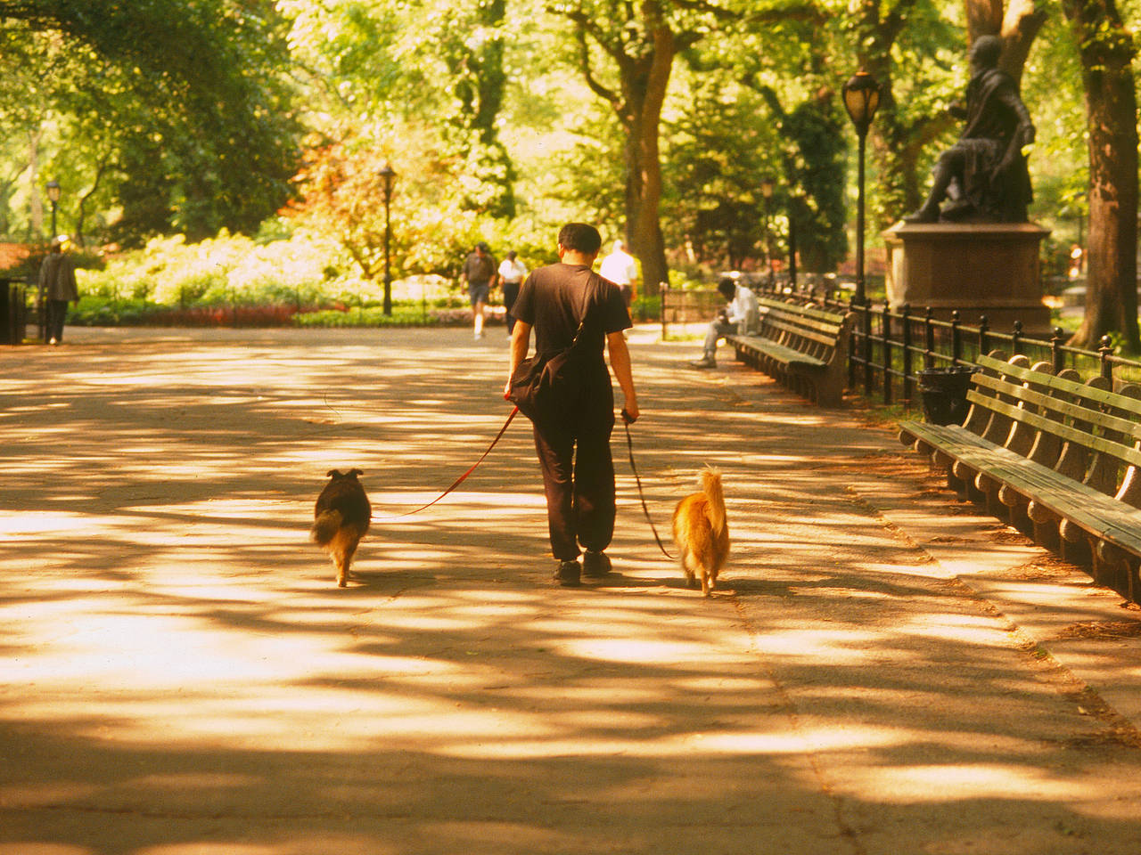 Fotos Central Park