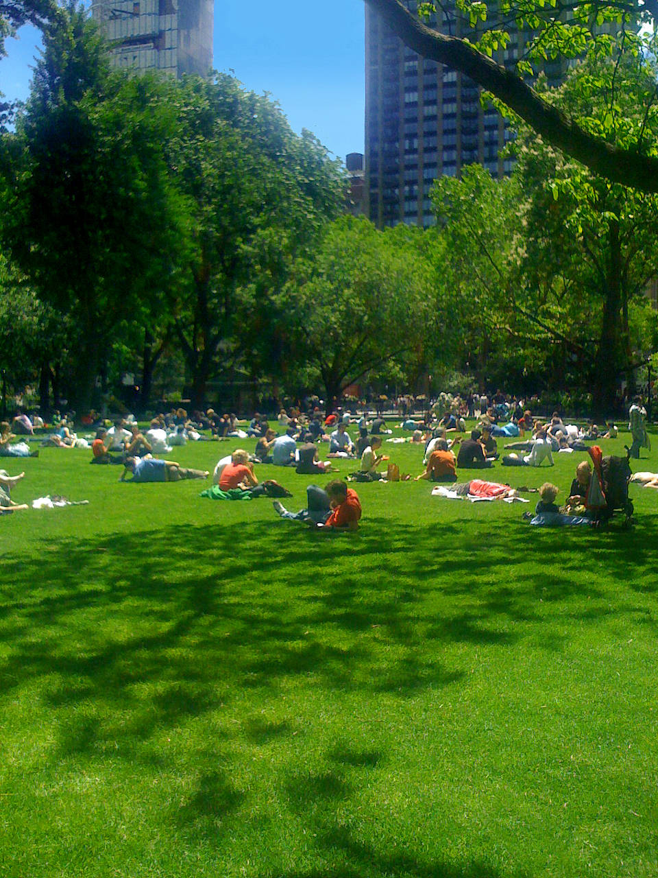 Fotos Madison Square Park | New York