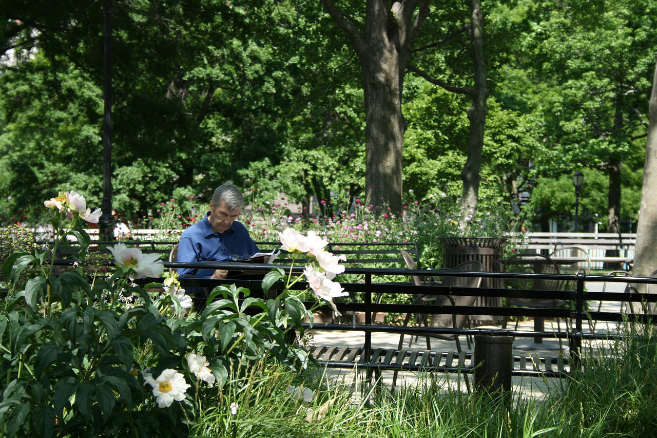 Foto Battery Park City - New York