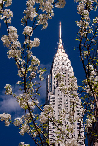 Foto Chrysler Building - New York